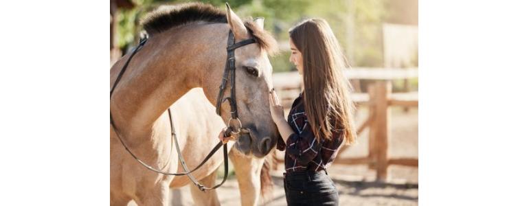 Terapias Asistidas con Caballos: Formación Teórico-Práctica en Equinoterapia