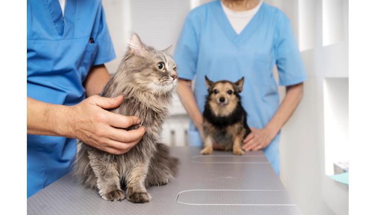 Fórmate en Veterinaria y Trabaja con lo que Te Apasiona